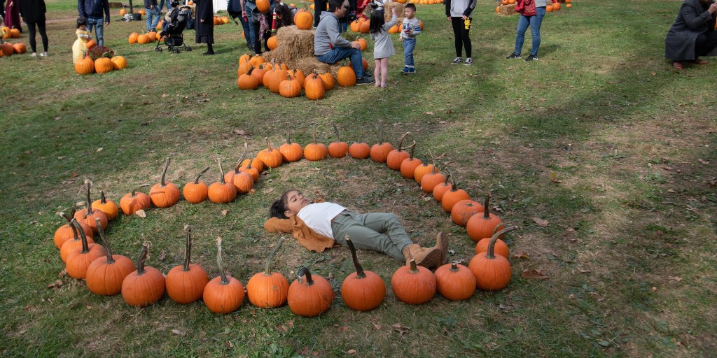 NYC Events on My Radar This Week (October 17-23)