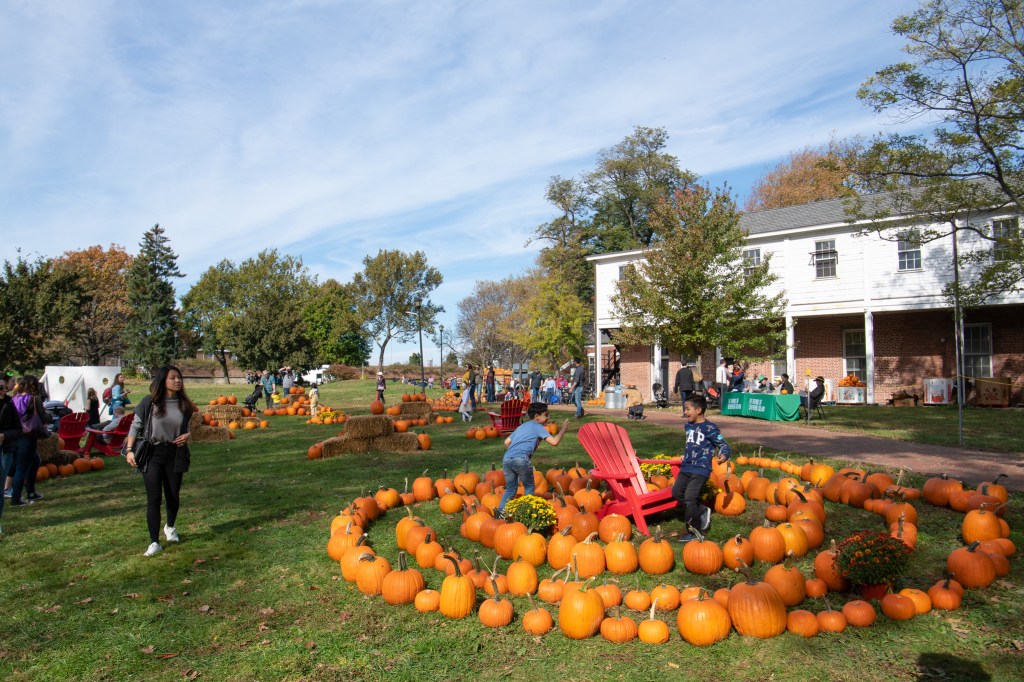 This image has an empty alt attribute; its file name is governors-island-pumpkin-point_julienne-schaer_1.jpg