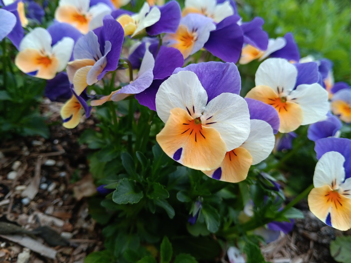 Kobe, Japan: Nunobiki Herb Gardens &&nbsp;Ropeway